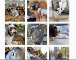 She has immense love for animals. She has her own constructed zoo where she has plenty of animals, where she took care of each and every voiceless and